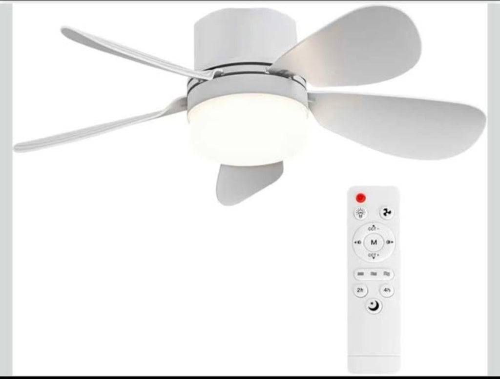 Socket Fan           Ventilador de Zocalo