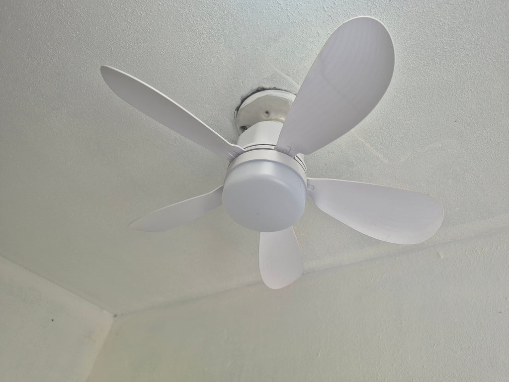 Socket Fan           Ventilador de Zocalo